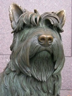 Roosevelt's Dog