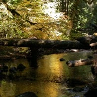 A Quiet Creek