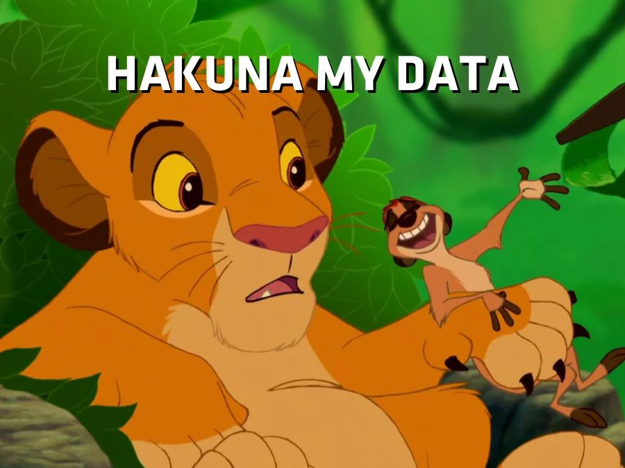 Hakuna my data
